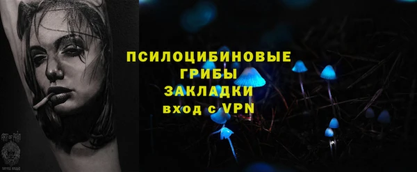 PSILOCYBIN Бронницы
