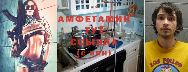 PSILOCYBIN Бронницы