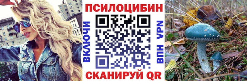 Галлюциногенные грибы Psilocybe дарнет шоп Дагестанские Огни