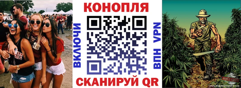 Бошки Шишки марихуана  магазин  наркотиков  ОМГ ОМГ маркетплейс  Дагестанские Огни 